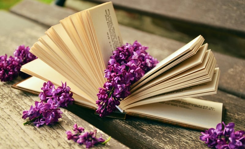 Spellbook Journals